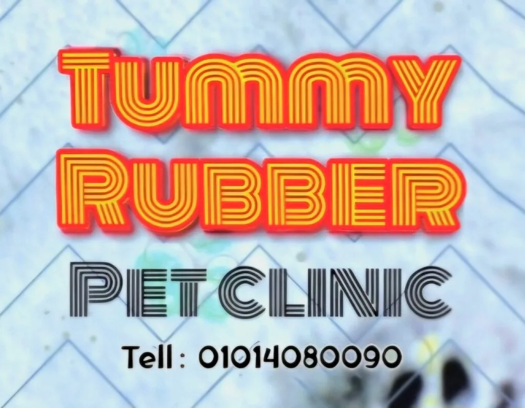 Tummy Rubber pet clinic - أليفكم